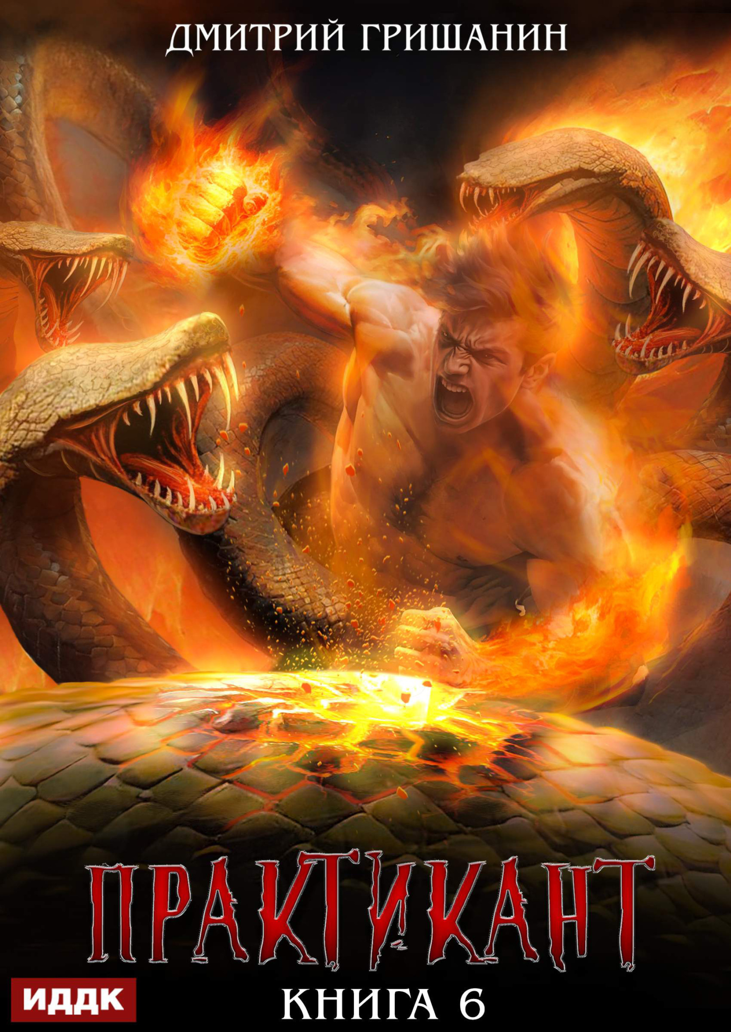 Книга. "Практикант. Книга 6" читать онлайн