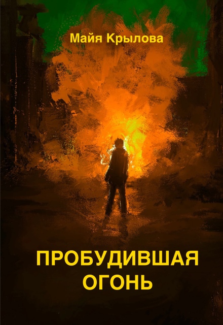 Книга. "Пробудившая огонь" читать онлайн