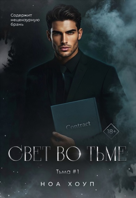 Книга. "Свет во тьме" читать онлайн