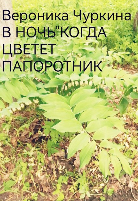 Книга. "В ночь, когда цветёт папоротник." читать онлайн