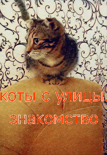 Книга. "Уличные коты. Книга 1 знакомство" читать онлайн