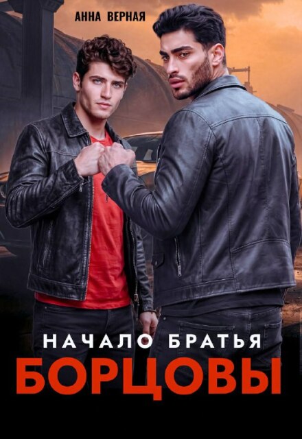 Книга. "Братья Борцовы. Начало. " читать онлайн