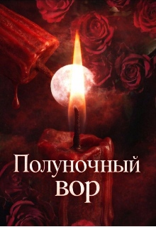 Книга. "Полуночный вор" читать онлайн