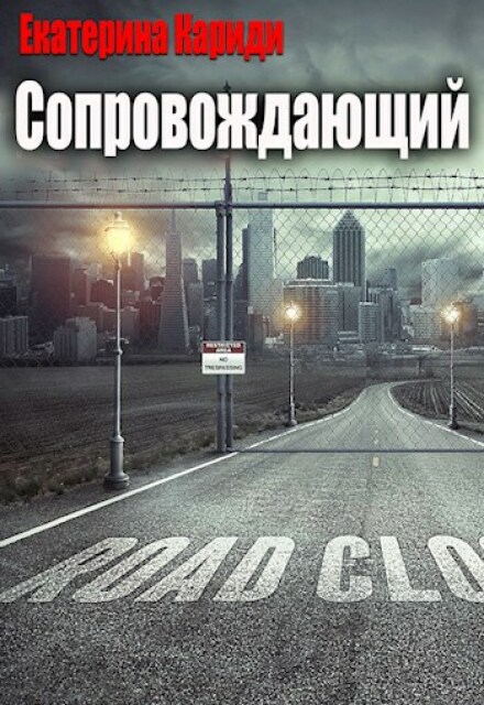 Книга. "Сопровождающий" читать онлайн