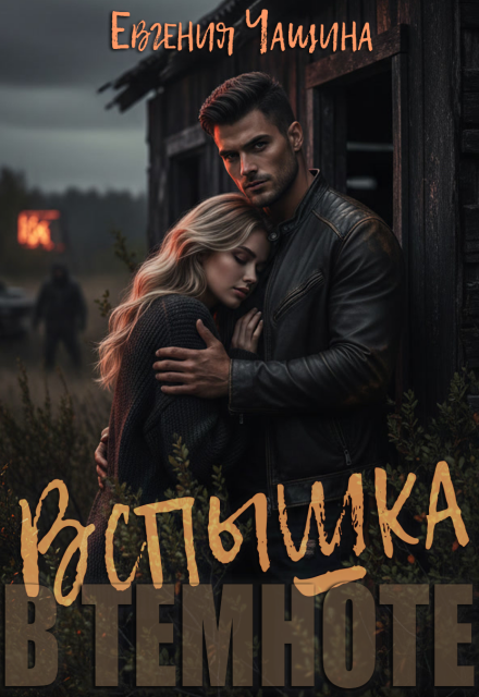Книга. "Вспышка в темноте" читать онлайн