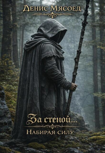 Книга. "За стеной... Набирая силу" читать онлайн