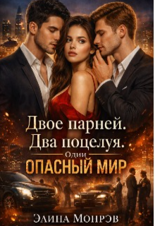 Книга. "Двое парней. Два поцелуя. Один опасный мир." читать онлайн