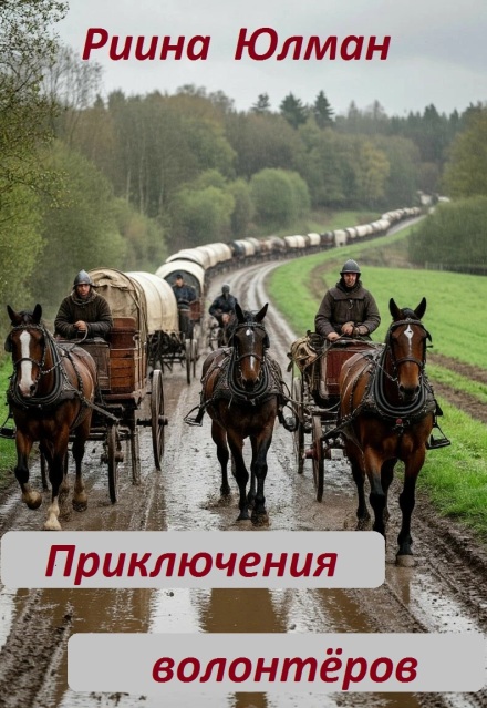 Книга. "Приключения волонтёров" читать онлайн