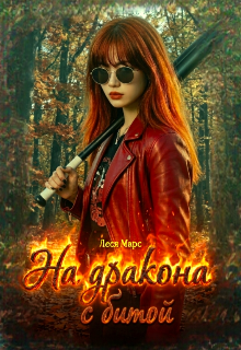 Книга. "На дракона с битой" читать онлайн