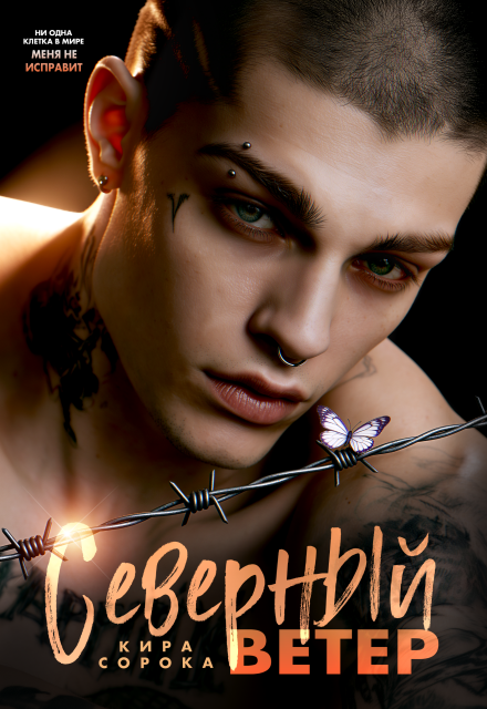 Книга. "Северный ветер" читать онлайн