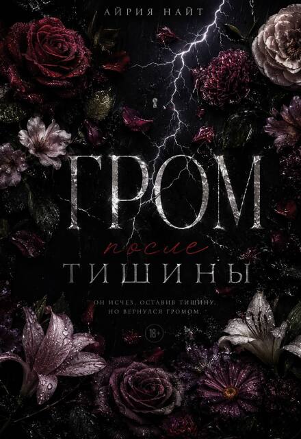 Книга. "Гром после тишины. " читать онлайн