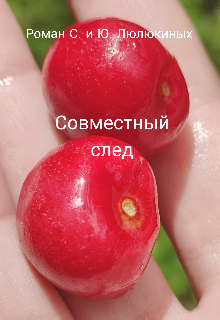 Книга. "Совместный след" читать онлайн