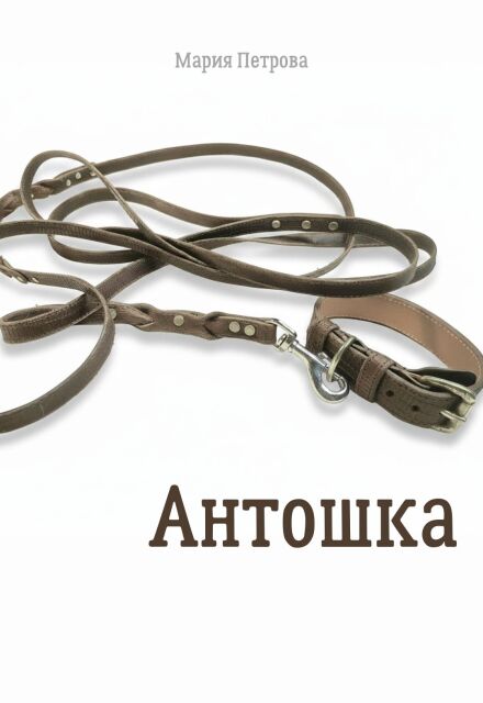 Книга. "Антошка" читать онлайн