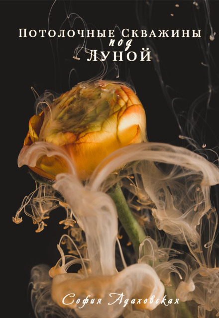 Книга. "Потолочные Скважины под Луной" читать онлайн