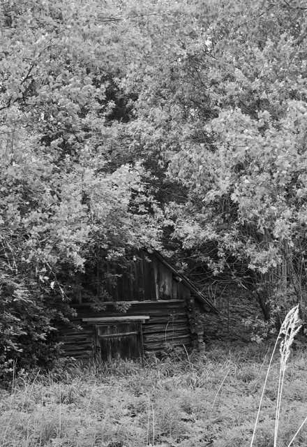 Книга. "Дом за рекой" читать онлайн
