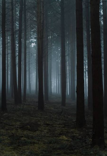 Книга. "Не жертва" читать онлайн