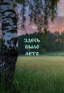 Книга. "Здесь было лето" читать онлайн