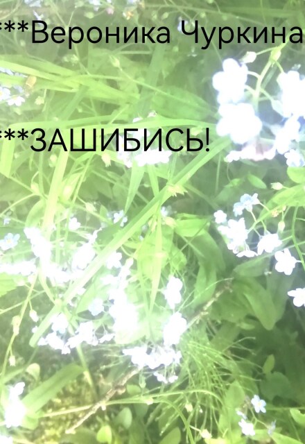 Книга. "Зашибись!" читать онлайн
