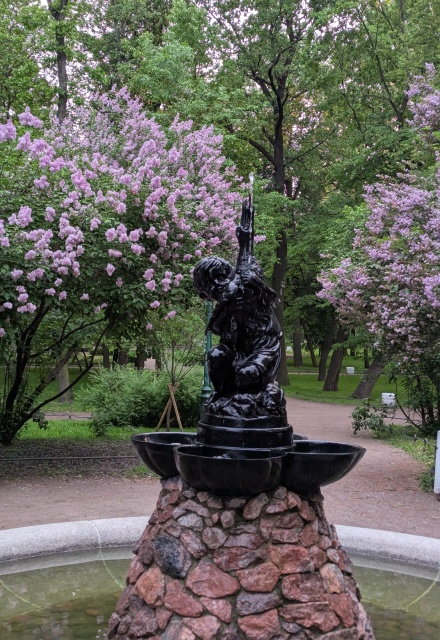 Книга. "Жизнь дерева в Петербурге" читать онлайн