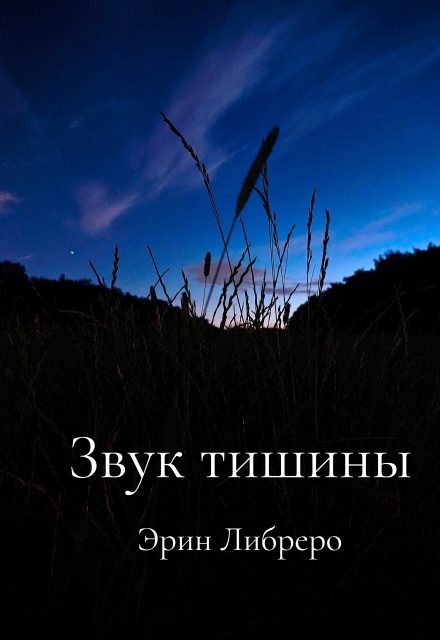 Книга. "Звук тишины" читать онлайн