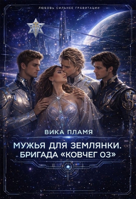 Книга. "Мужья для землянки. Бригада "Ковчег 03"" читать онлайн