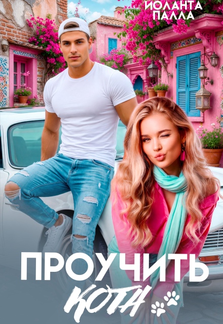 Книга. "Проучить Кота" читать онлайн
