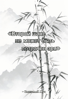 Книга. "Второй шанс не может быть потрачен зря" читать онлайн
