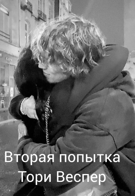 Книга. "Вторая попытка" читать онлайн