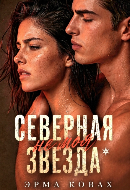 Книга. "Северная Звезда" читать онлайн