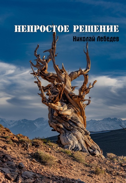 Книга. "Непростое решение" читать онлайн