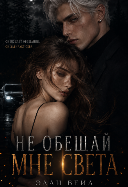 Книга. ""Не обещай мне света" " читать онлайн