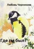 Обложка книги "Где ты был?"