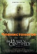 Обложка книги "Членистоногое"