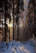 Обложка книги "Лыжные зарисовки"
