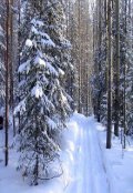 Обложка книги "Горка"