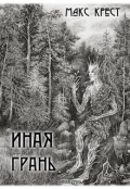 Обложка книги "Иная Грань"