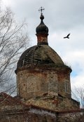 Обложка книги "Люди и звери"