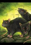 Обложка книги "Шуша"