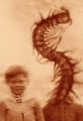 Обложка книги "Фотография "