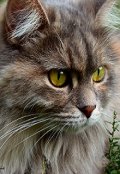 Обложка книги "Мы встретились в Чебоксарах"