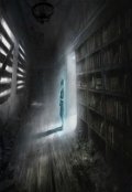 Обложка книги "Книжная тень"