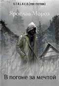 Обложка книги "В погоне за мечтой"