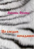 Обложка книги "По следам попаданки "