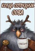 Обложка книги "Когда сотрудник &mdash; Сова"