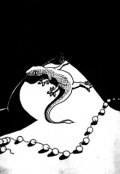 Обложка книги "Танец Саламандр"