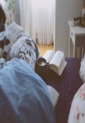 Обложка книги "Глупость - мое второе имя. "