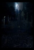 Обложка книги "Памятная ночь за потоком Кедрон."