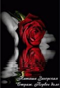 Обложка книги "Страж. Первое дело"