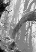 Обложка книги "несказка"