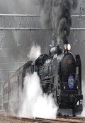 Обложка книги "Случай на станции "Арысь""